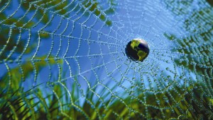 earth in web