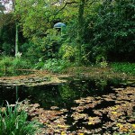 temple-pond